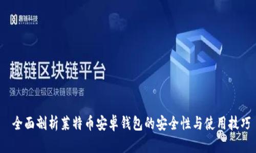  全面剖析莱特币安卓钱包的安全性与使用技巧