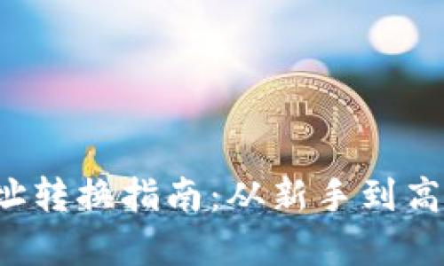  虚拟币钱包地址转换指南：从新手到高手的全方位解析