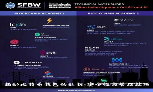 揭秘比特币钱包的私钥：安全性与管理技巧