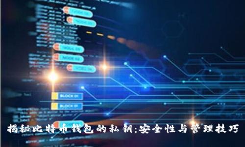 揭秘比特币钱包的私钥：安全性与管理技巧