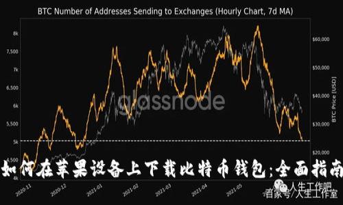 如何在苹果设备上下载比特币钱包：全面指南