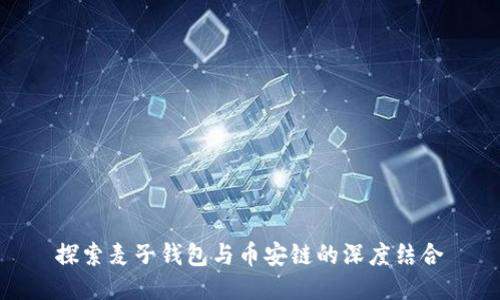 探索麦子钱包与币安链的深度结合