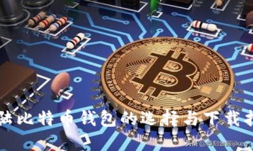 大陆比特币钱包的选择与下载指南