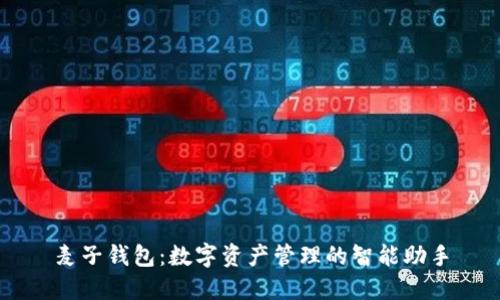 麦子钱包：数字资产管理的智能助手