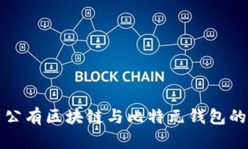全面解析公有区块链与比特元钱包的未来发展