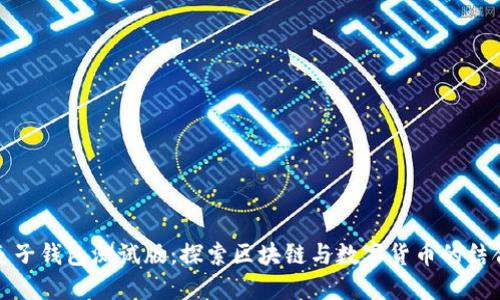 麦子钱包测试版：探索区块链与数字货币的结合