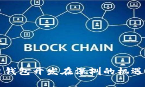 区块链钱包开发在深圳的机遇与挑战