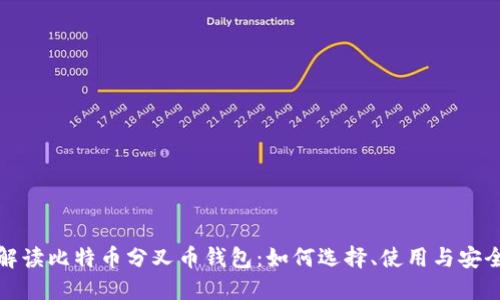 全面解读比特币分叉币钱包：如何选择、使用与安全保障