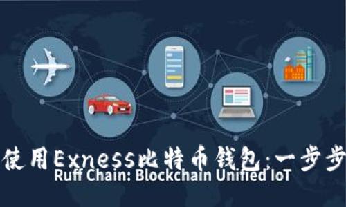 如何使用Exness比特币钱包：一步步指南