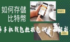比特币手机钱包数据包的