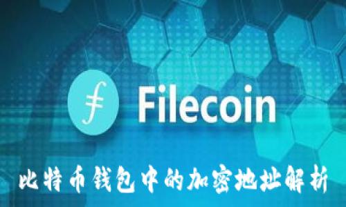   
比特币钱包中的加密地址解析