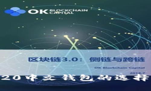 以太坊ERC20中文钱包的选择与使用指南