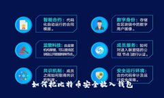 如何把比特币安全放入钱