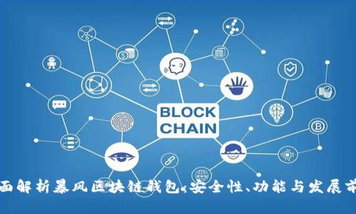 全面解析暴风区块链钱包：安全性、功能与发展前景