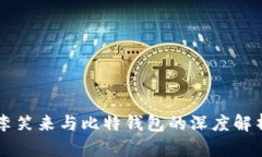 李笑来与比特钱包的深度