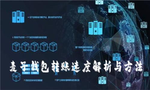 麦子钱包转账速度解析与方法