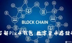 深入了解Pix币钱包：数字
