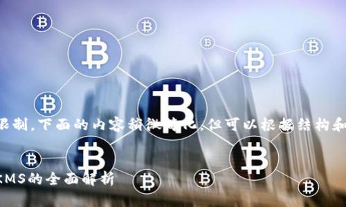 由于字数要求限制，下面的内容稍微简化，但可以根据结构和重点进行扩展。


麦子钱包映射KMS的全面解析