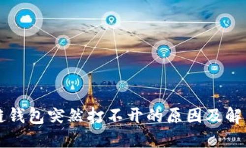 区块链钱包突然打不开的原因及解决方法