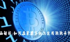 全面解析：如何在苹果手