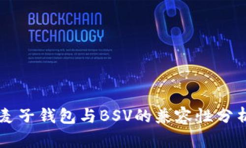 麦子钱包与BSV的兼容性分析