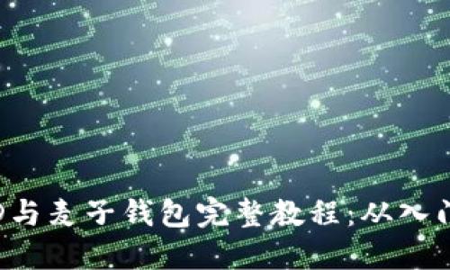 FOMO3D与麦子钱包完整教程：从入门到精通
