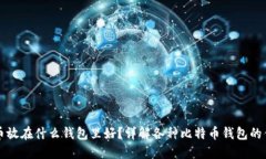 比特币放在什么钱包里好