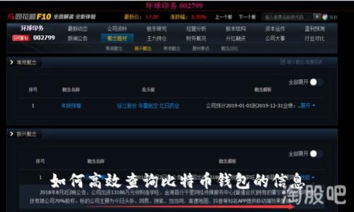 如何高效查询比特币钱包的信息