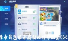 比特币钱包能否存储比特