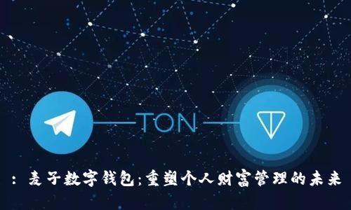 : 麦子数字钱包：重塑个人财富管理的未来