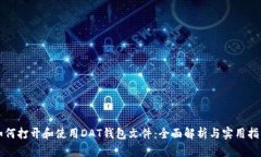 如何打开和使用DAT钱包文件：全面解析与实用指