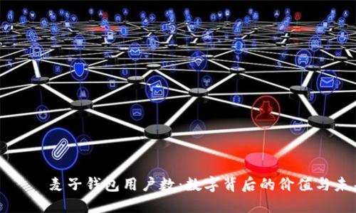 бряти麦子钱包用户数：数字背后的价值与未来发展