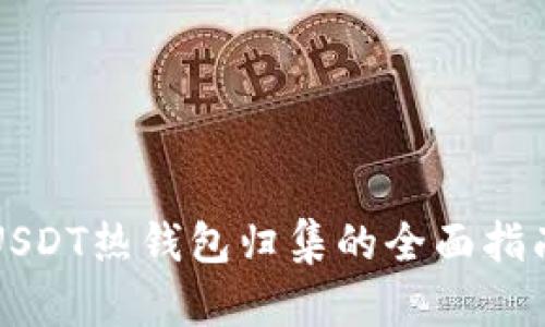 USDT热钱包归集的全面指南