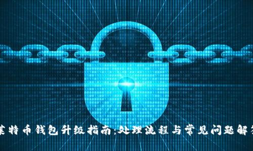 莱特币钱包升级指南：处理流程与常见问题解答