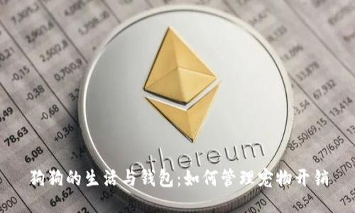 狗狗的生活与钱包：如何管理宠物开销