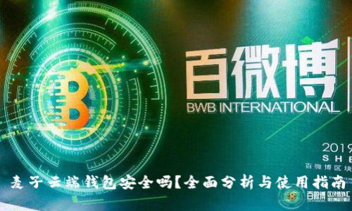 麦子云端钱包安全吗？全面分析与使用指南