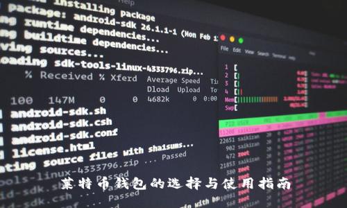 莱特币钱包的选择与使用指南