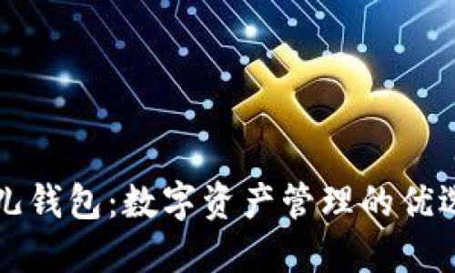 比特儿钱包：数字资产管理的优选工具