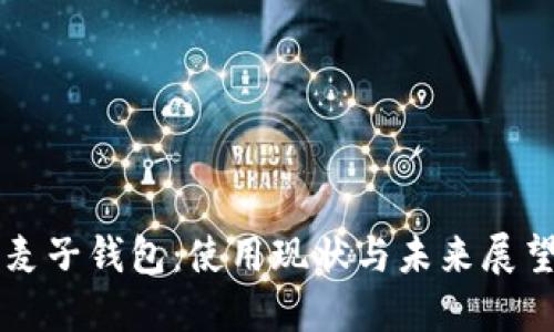 麦子钱包：使用现状与未来展望