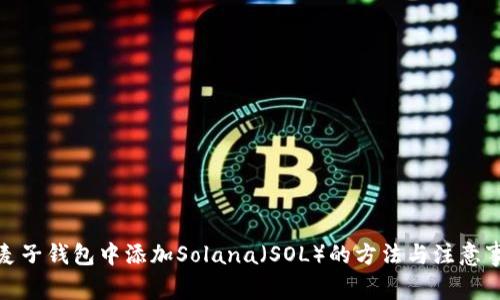 在麦子钱包中添加Solana（SOL）的方法与注意事项