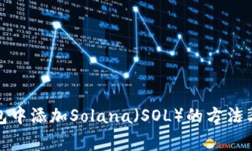 在麦子钱包中添加Solana（SOL）的方法与注意事项