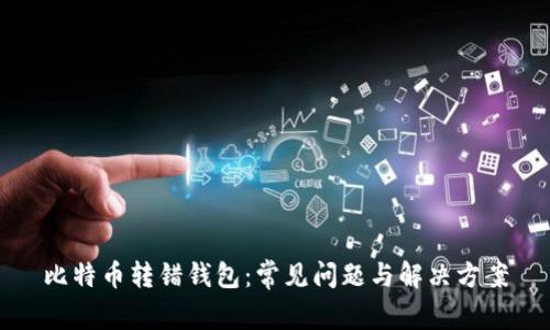 比特币转错钱包：常见问题与解决方案
