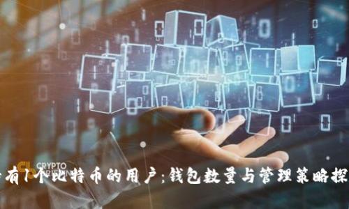 持有1个比特币的用户：钱包数量与管理策略探讨