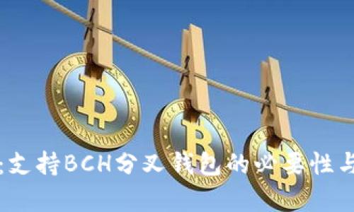 深度解析：支持BCH分叉钱包的必要性与未来发展