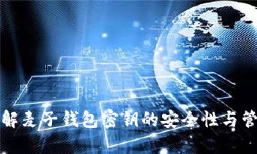 深入了解麦子钱包密钥的安全性与管理策略