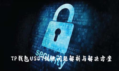  TP钱包USDT到账问题解析与解决方案