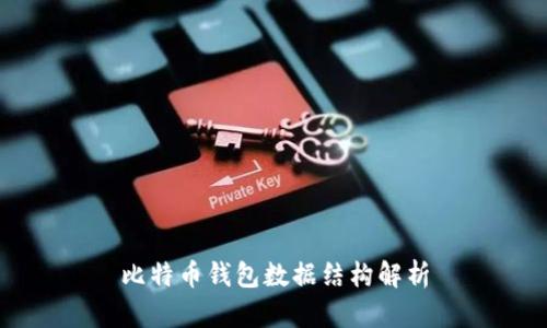比特币钱包数据结构解析
