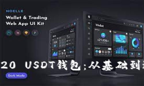 如何搭建一个ERC20 USDT钱包：从基础到进阶的全流程指南