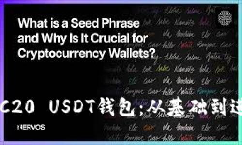 如何搭建一个ERC20 USDT钱包：从基础到进阶的全流程指南