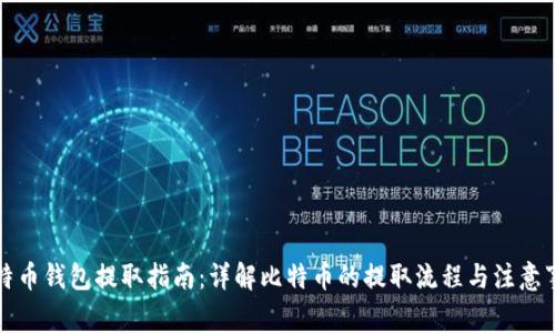 比特币钱包提取指南：详解比特币的提取流程与注意事项